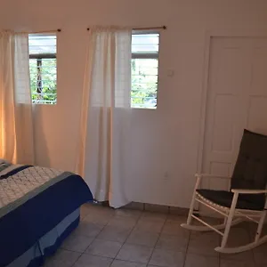 Appartement Palm Trees, Willemstad